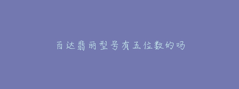 百達(dá)翡麗型號(hào)有五位數(shù)的嗎