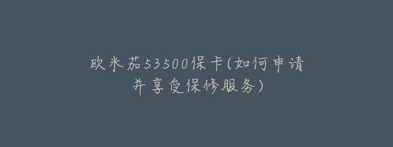 歐米茄53500?？?如何申請并享受保修服務(wù))