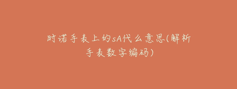 時(shí)諾手表上的sA代么意思(解析手表數(shù)字編碼)