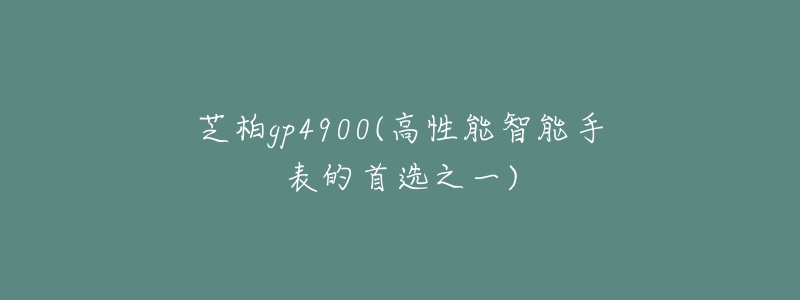 芝柏gp4900(高性能智能手表的首選之一)