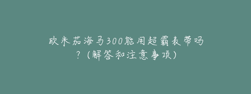 歐米茄海馬300能用超霸表帶嗎？(解答和注意事項)