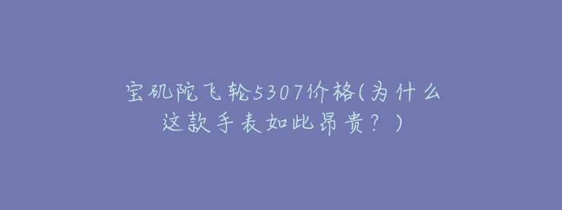 寶磯陀飛輪5307價格(為什么這款手表如此昂貴？)