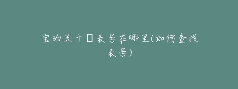 寶珀五十?表號(hào)在哪里(如何查找表號(hào))