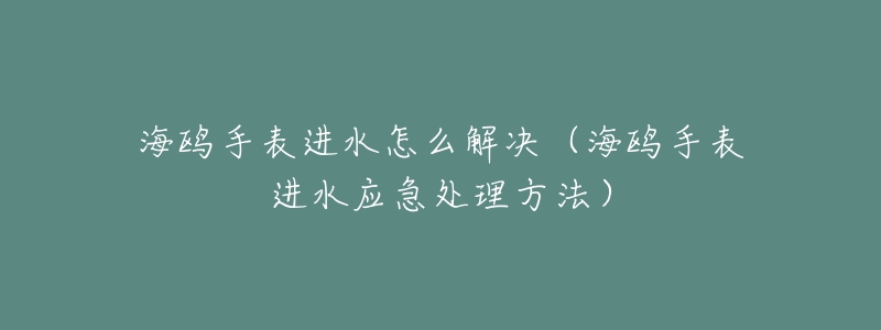 海鷗手表進水怎么解決（海鷗手表進水應急處理方法）