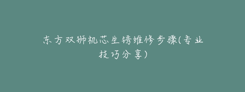 東方雙獅機(jī)芯生銹維修步驟(專業(yè)技巧分享)