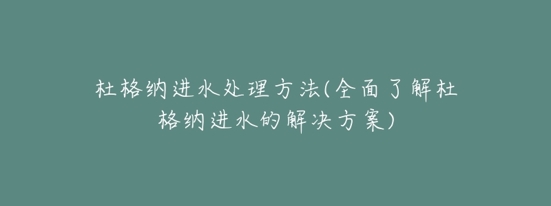 杜格納進(jìn)水處理方法(全面了解杜格納進(jìn)水的解決方案)