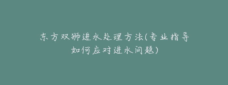 東方雙獅進水處理方法(專業(yè)指導(dǎo)如何應(yīng)對進水問題)