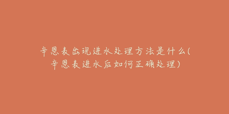 辛恩表出現(xiàn)進(jìn)水處理方法是什么(辛恩表進(jìn)水后如何正確處理)