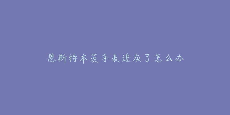 恩斯特本茨手表進(jìn)灰了怎么辦