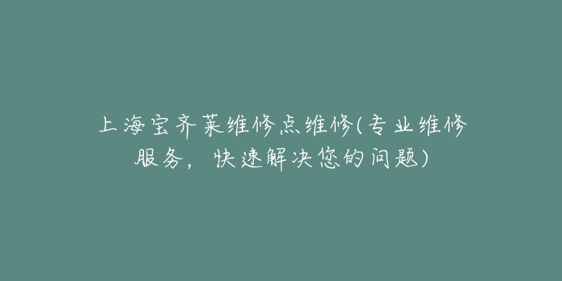 上海寶齊萊維修點(diǎn)維修(專業(yè)維修服務(wù)，快速解決您的問題)