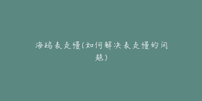 海鷗表走慢(如何解決表走慢的問題)