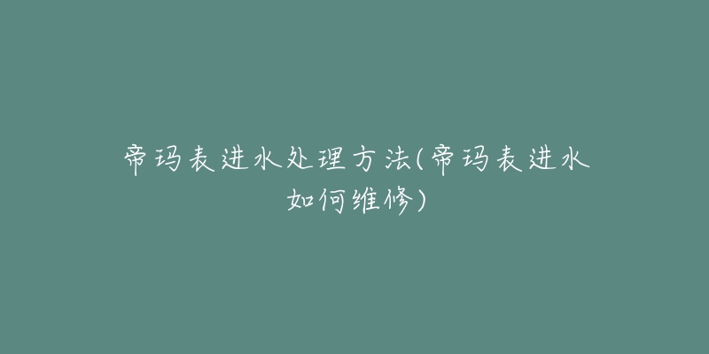 帝瑪表進(jìn)水處理方法(帝瑪表進(jìn)水如何維修)