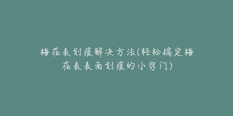 梅花表劃痕解決方法(輕松搞定梅花表表面劃痕的小竅門(mén))