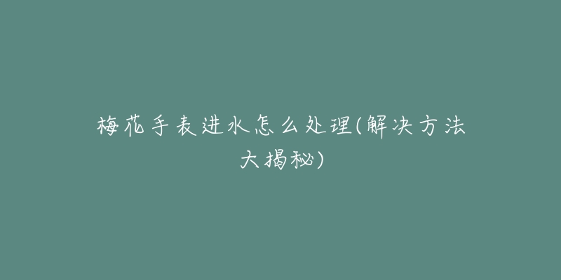 梅花手表進(jìn)水怎么處理(解決方法大揭秘)