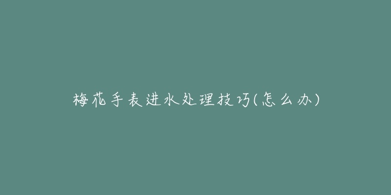 梅花手表進水處理技巧(怎么辦)