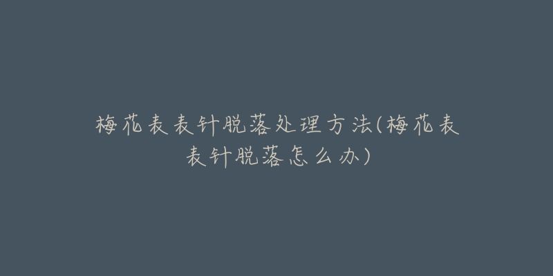 梅花表表針脫落處理方法(梅花表表針脫落怎么辦)