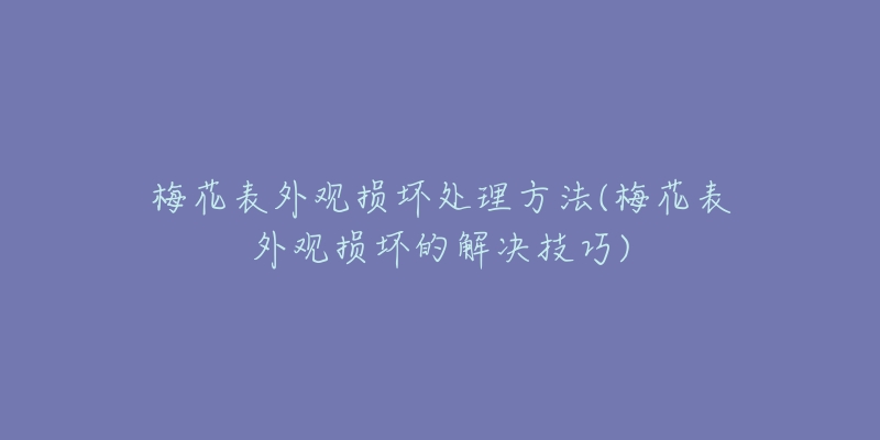 梅花表外觀損壞處理方法(梅花表外觀損壞的解決技巧)