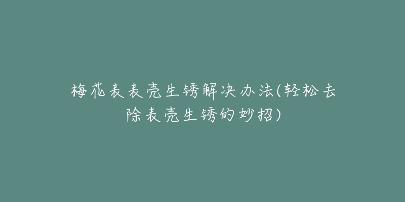 梅花表表殼生銹解決辦法(輕松去除表殼生銹的妙招)