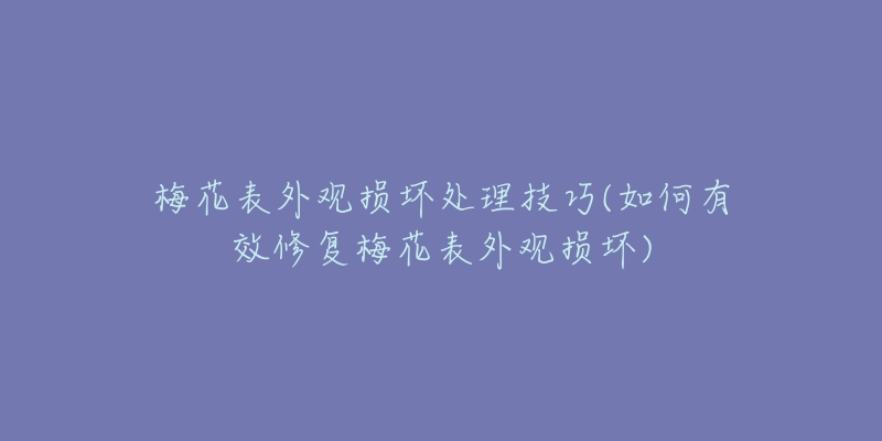 梅花表外觀損壞處理技巧(如何有效修復(fù)梅花表外觀損壞)