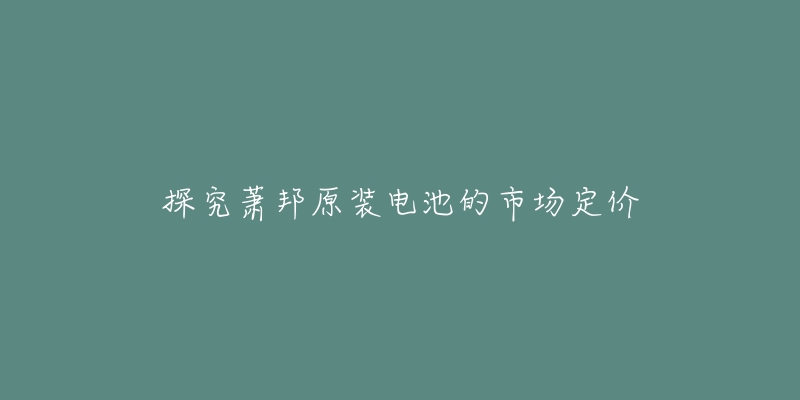 探究蕭邦原裝電池的市場定價(jià)